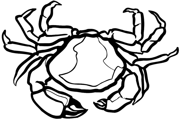 Crusty crab vinyl sticker. Customize on line.       Animals Insects Fish 004-0987  